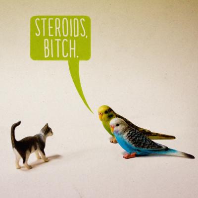 Прикрепленное изображение: x_4ebf5d7f.jpg